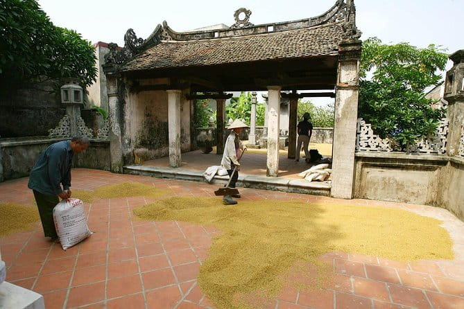 Hanoi Coffee Workshop Brew Taste and Culture Experience - Market Stop Moments: Why Ingredient Choices Matter