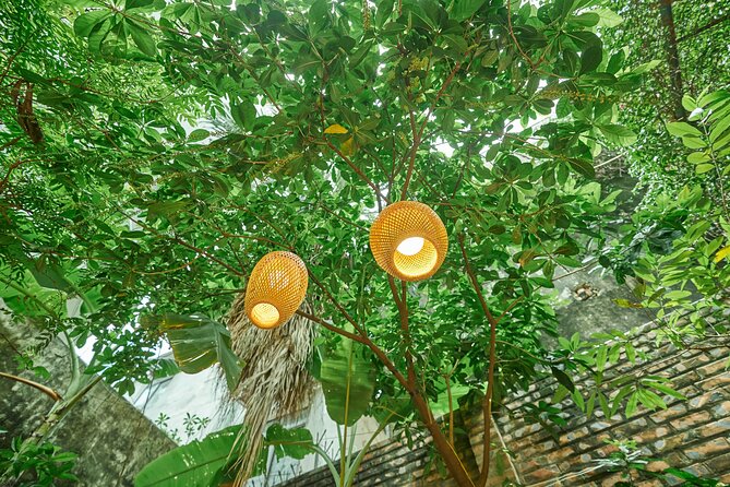 Hanoi Cooking Class: Culture, Local Market & Meaning CSR Impact - The Market Walk: choosing ingredients like a Hanoi home cook