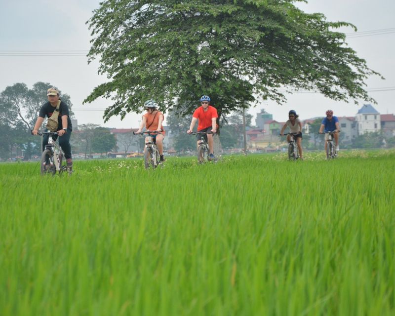 Hanoi Countryside Bike Tour: Red River Culture & Daily Life - Key highlights worth your attention