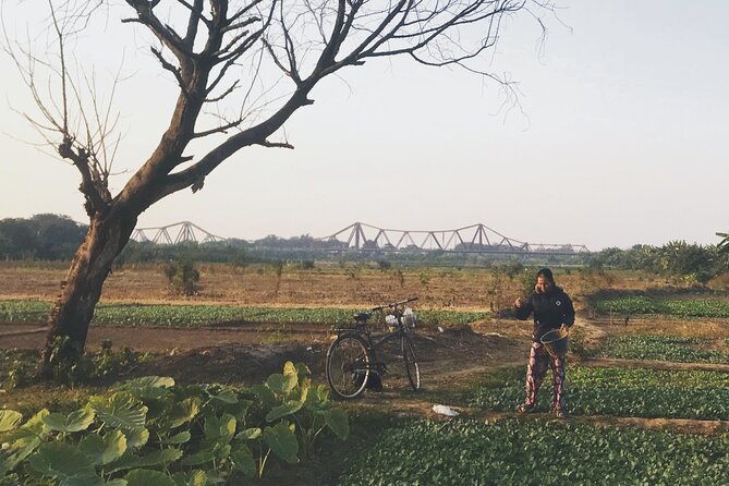 Hanoi Countryside in Banana Island - Top Tours & Activities - The island moment: farm work, gardens, and why the river ground matters