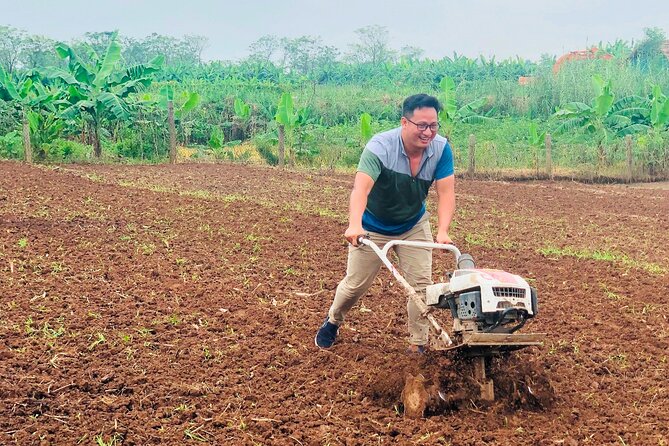 Hanoi Countryside in Banana Island - Top Tours & Activities - Banana Forest and the northern island edge: where the ride turns scenic