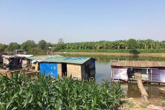 Hanoi Countryside in Banana Island - Top Tours & Activities - Price and value: what $52 gets you in Hanoi countryside time