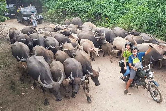 Hanoi Countryside Motorbike Tour: Red River Culture & Daily Life - Key Highlights Worth Booking For