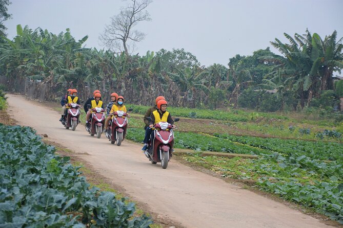 Hanoi Countryside Motorbike Tours Led By Women - Red River Island farming: bananas, rice paddies, and side roads