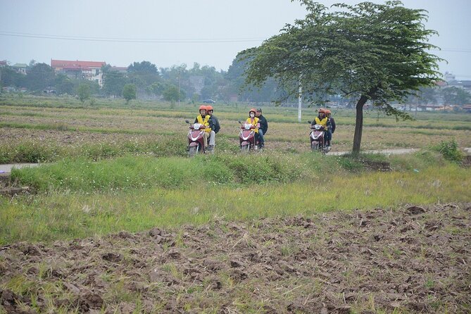 Hanoi Countryside Motorbike Tours Led By Women - Hoi Phu broomstick-making: craft work you can actually watch