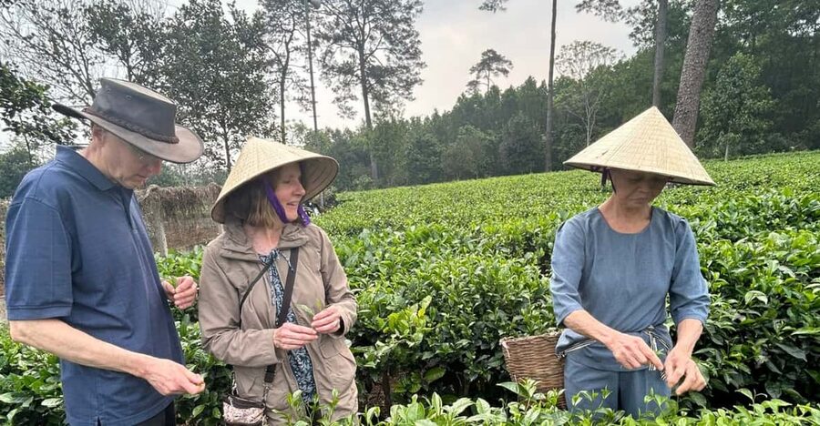 Hanoi Eco Tour: Ba Vi National Park Wonders & Tea Plantation - Price and value: is $80 a good deal for this day?