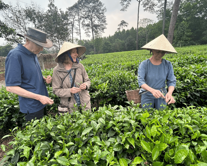 Hanoi Eco Tour: Ba Vi National Park Wonders & Tea Plantation - French prison remnants: history you can see getting swallowed by nature