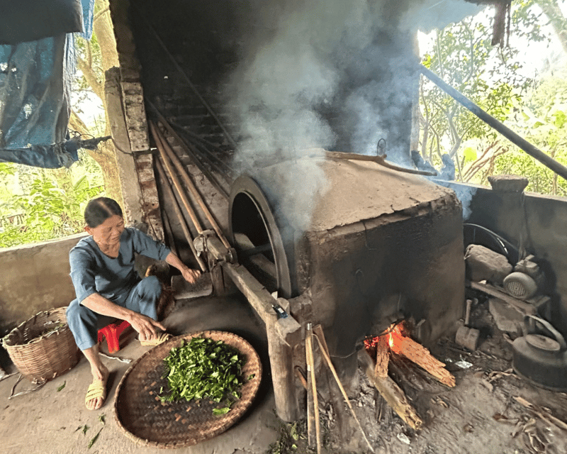 Hanoi Eco Tour: Ba Vi National Park Wonders & Tea Plantation - Wildlife and mountain scenery: what to notice on your walk