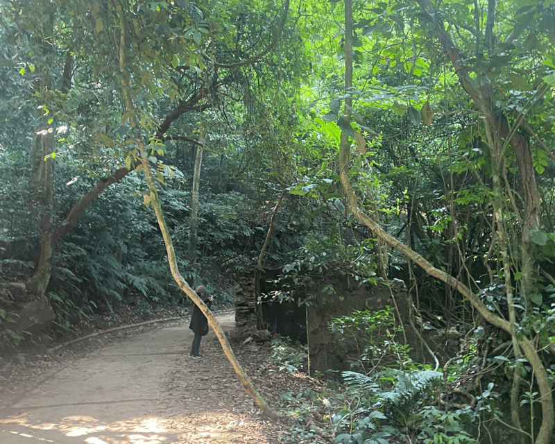 Hanoi Eco Tour: Ba Vi National Park Wonders & Tea Plantation - Getting there and back: transport that keeps your energy for walking