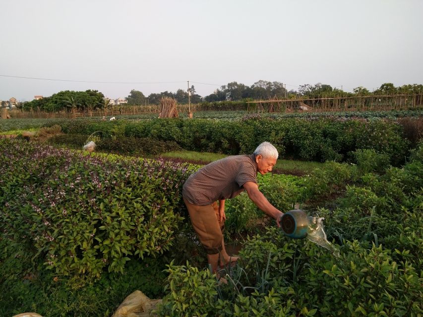 Hanoi Farm Tour and Cooking Class with Local Family - Who should book this Hanoi farm tour and home cooking
