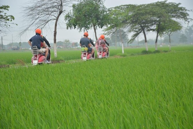 Hanoi Food Tours: Hanoi Foodie Scooter Tour Led By Women - Price of $69: how to judge the value for a 4-hour tasting ride