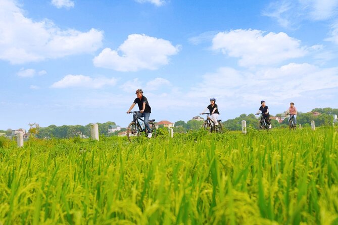 Hanoi Full Day A Private Tour With Mix of History and Activities - Vietnam Museum of Ethnology: a free reset for your brain
