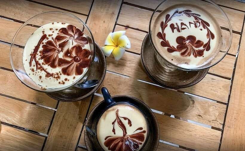Hanoi: Guided Food Tour with Train Street Visit - Cycling rides, water puppets, and optional extras (only if you pick them)
