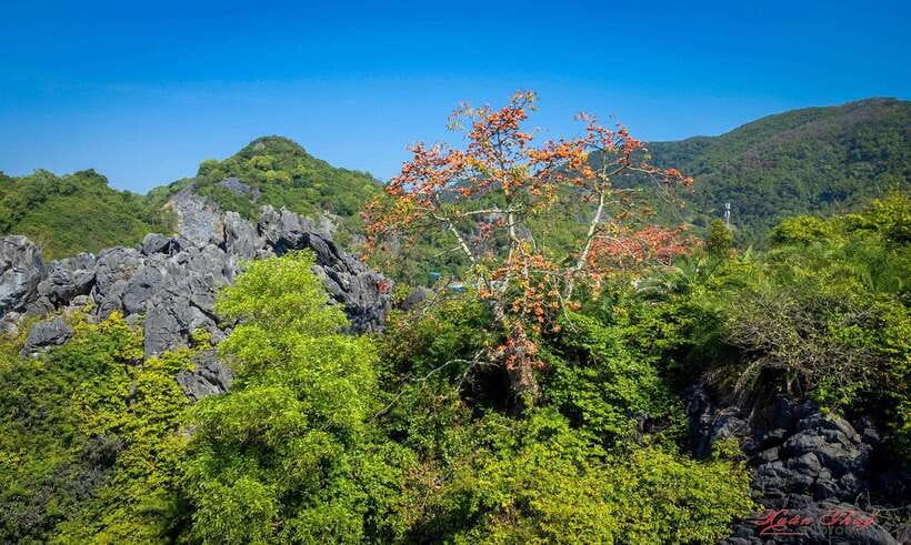 Hanoi: Ha Long Bay & CatBa Island 3-Day with Boutique Cruise - Who this tour fits best (and who should rethink)