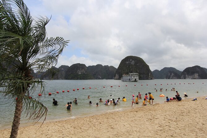 Hanoi - Ha Long Luxury Day Cruise with Kayak & Cave Adventure - Round-Trip Limousine Transfer and What “Luxury” Means Onboard