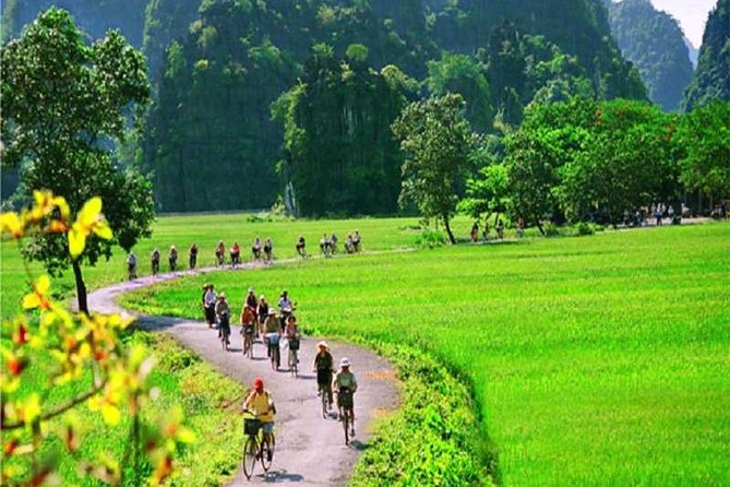 Hanoi - Hoa Lu - Tam Coc - Mua Cave - 1 Day Tour. By Luxury Limousine From Hanoi - Vietnamese Tea Break: A Small Pause That Makes the Day Feel Human