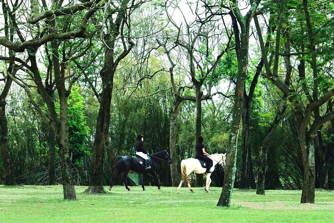 Hanoi Horseback Riding Club & Tours - Exclusive Experience - Quick Hits (What You’ll Notice First)
