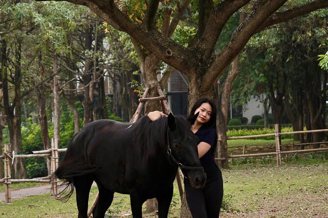 Hanoi Horseback Riding Club & Tours - Exclusive Experience - Should You Book Hanoi Horseback Riding Club & Tours?