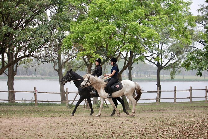Hanoi Horseback Riding Club & Tours - Exclusive Experience - The 2–3 Hour Flow That Actually Makes Sense