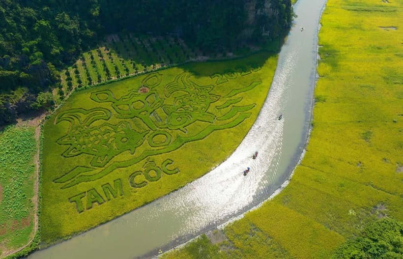 Hanoi: Incense Village, Ninh Binh Hoa Lu, Trang An, Mua Cave - Key points to know before you go