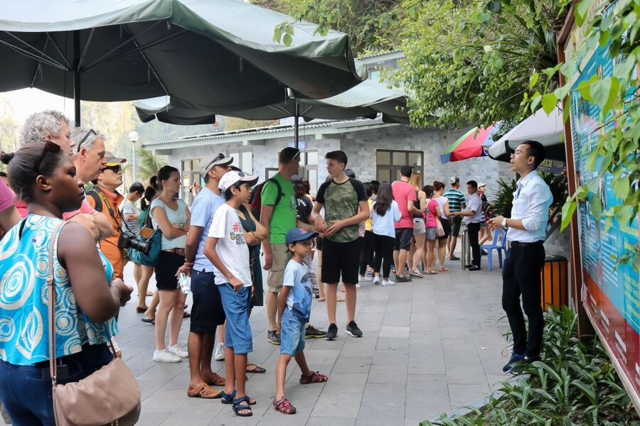 Hanoi: Islands & Caves Ha Long Cruise with Lunch & Kayaking - Practical tips: what to bring and what will slow you down