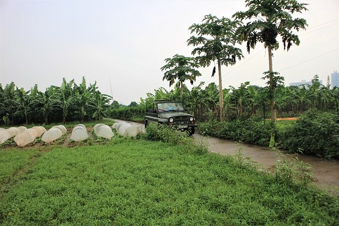 Hanoi Jeep Tours Led By Women: Hanoi Countryside By Legend Jeep - Red River Island driving: dirt roads, farming rhythms, and banana fields