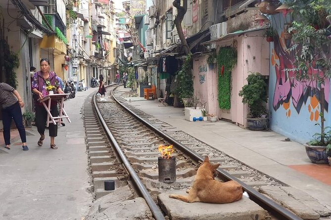 Hanoi Michelin Star Street Food Walking Tour & Train-Street - How to do it right: hunger, walking, and timing