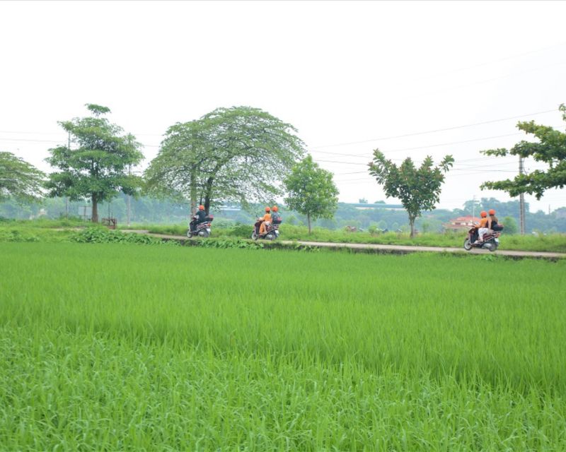Hanoi Motorbike Countryside Tour - Getting out of Hanoi the easy way (on a scooter)