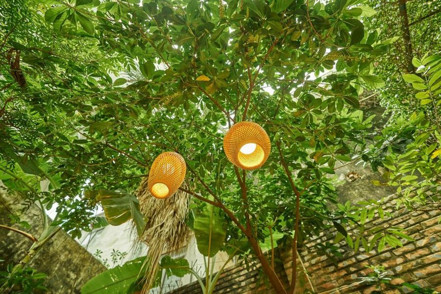 Hanoi’s Culinary: Authentic Cooking Class and Local Market - The transfer to a garden villa: from street noise to kitchen time