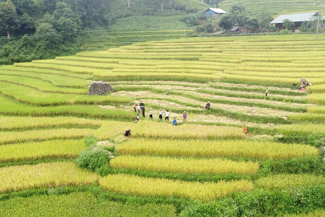 Hanoi - Sapa 2 Days 1 Night Overnight At Local Homestay - Back to Sapa town and the stone church/market free time