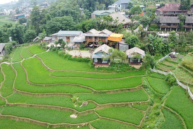 Hanoi - Sapa 3 Day 2 Night Trekking With Hotel & Homestay - Who This Sapa Trek Is Best For (And Who Should Skip It)