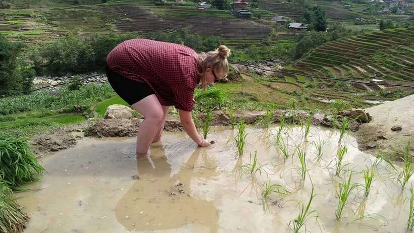 Hanoi- SaPa: 3-Day Homestay Trek to Explore Ethnic cultures - Key points before you go