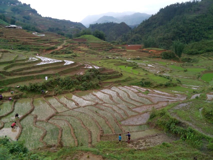 Hanoi- SaPa: 3-Day Homestay Trek to Explore Ethnic cultures - Price and Value: Is $139 Fair for 3 Days?