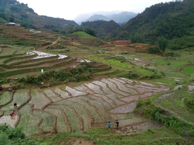 Hanoi- SaPa: 3-Day Homestay Trek to Explore Ethnic cultures - Day 3: Sunrise in Ban Ho Valley and Nam Tong Culture on Foot