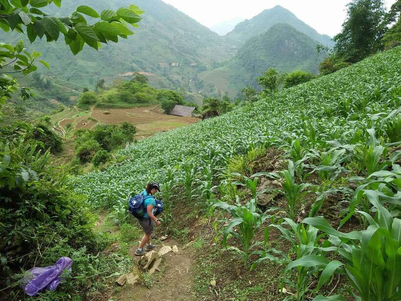 Hanoi- SaPa: 3-Day Homestay Trek to Explore Ethnic cultures - Guide Quality: Why Su and Sang Made the Difference