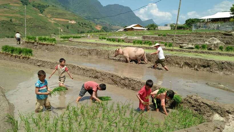 Hanoi- SaPa: 3-Day Homestay Trek to Explore Ethnic cultures - Getting Real About Weather, Clothing, and Footing