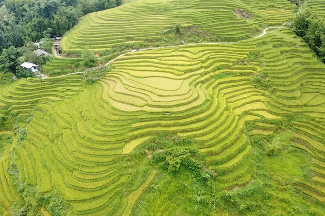 Hanoi - Sapa 3 Days - 2 Nights Trekking with With the locals - Hanoi to Sapa by VIP bus: less hassle, more time outside