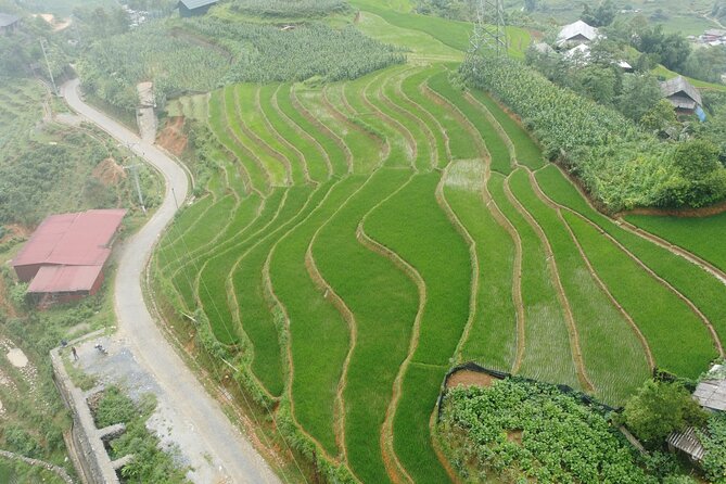 Hanoi - Sapa 3 Days - 2 Nights Trekking with With the locals - Ta Van village: where the walking connects to village life