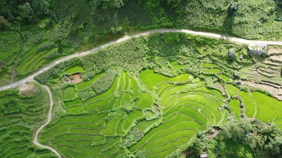 Hanoi to Sapa: Terraced Fields, Culture & Cuisine – 3 Days - Key highlights I’d plan my trip around
