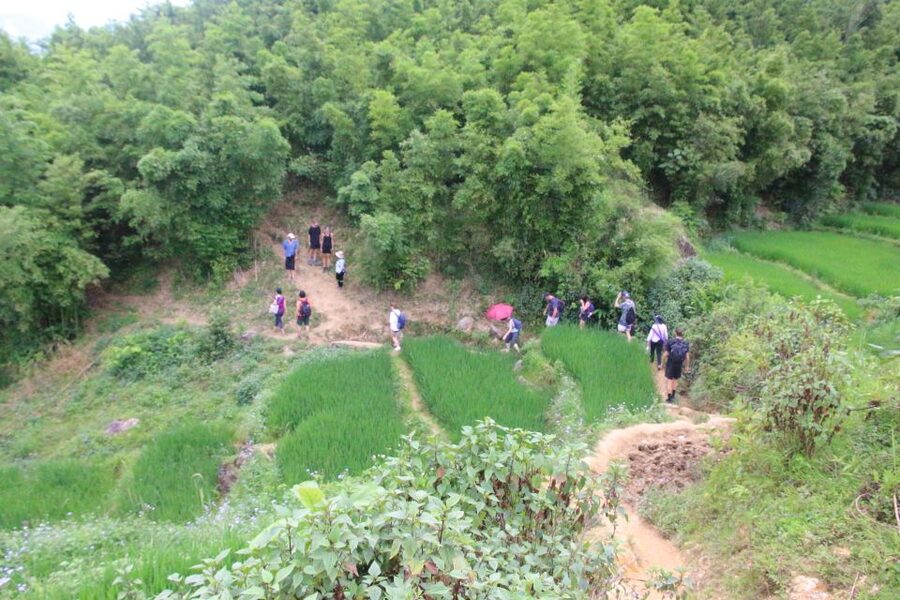 Hanoi to Sapa: Terraced Fields, Culture & Cuisine – 3 Days - Should you book it