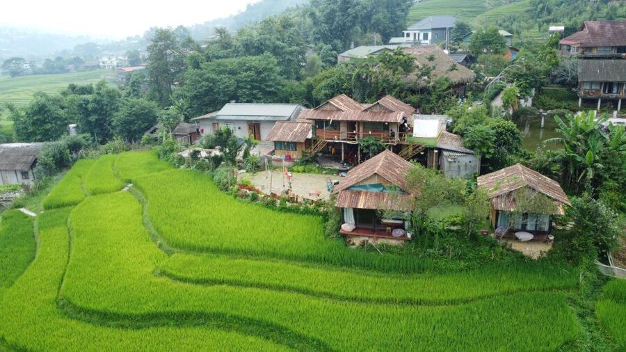 Hanoi to Sapa: Terraced Fields, Culture & Cuisine – 3 Days - Day 2: The big trekking day through villages and rice terraces