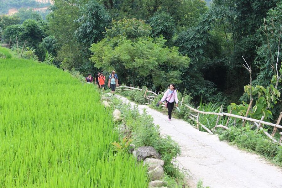 Hanoi to Sapa: Terraced Fields, Culture & Cuisine – 3 Days - Day 3: Shorter but still meaningful trek, then back to Hanoi