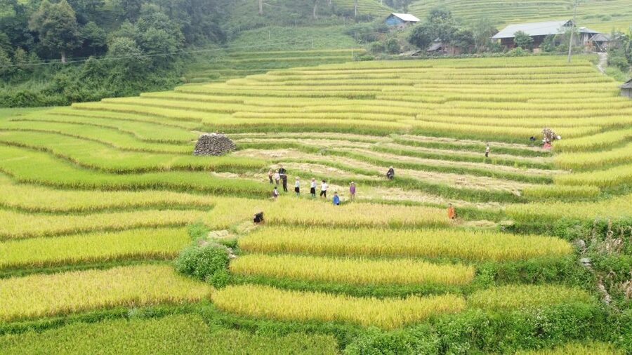 Hanoi to Sapa: Terraced Fields, Culture & Cuisine – 3 Days - Who this Hanoi to Sapa 3-day trip suits best
