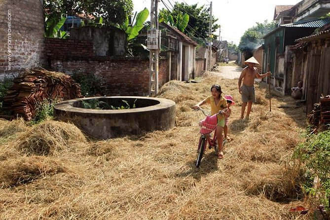 Hanoi Traditional Craft & Ancient Beauty (Day Trip) - Price and logistics: when $170 makes sense