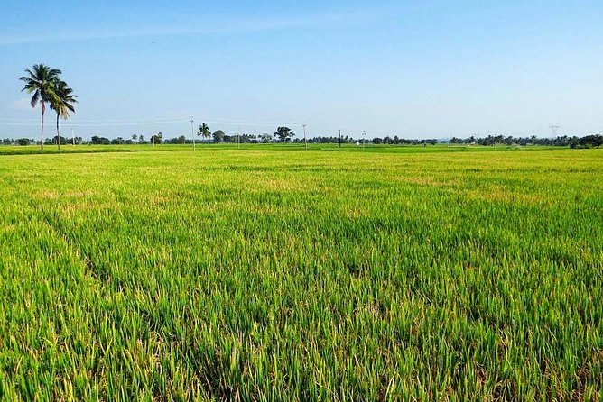 Hanoi Vespa Countryside Tour With Female Ao Dai Riders Half Day - Price and Value: What $58 Buys in a Half Day
