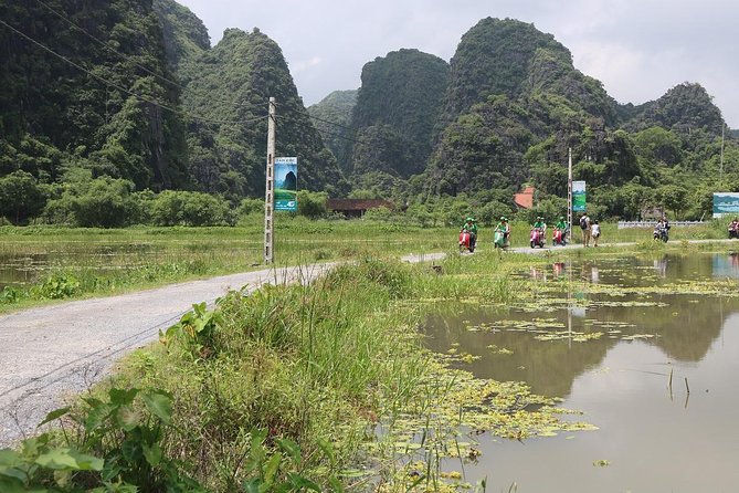 Hanoi Vespa Tour Explore Red River Delta & Rural Villages 5 Hours - Co Loa Citadel and the Red River Delta villages: rice paddies and market time