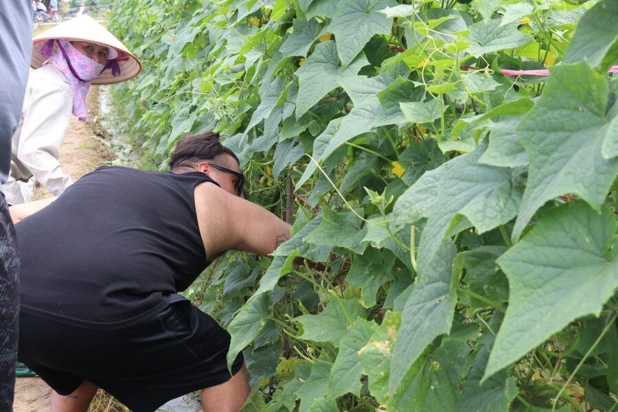 Hanoi: Village Farm Tour and Cooking Class with Lunch - Organic pig farm walk after lunch: countryside sustainability in plain talk