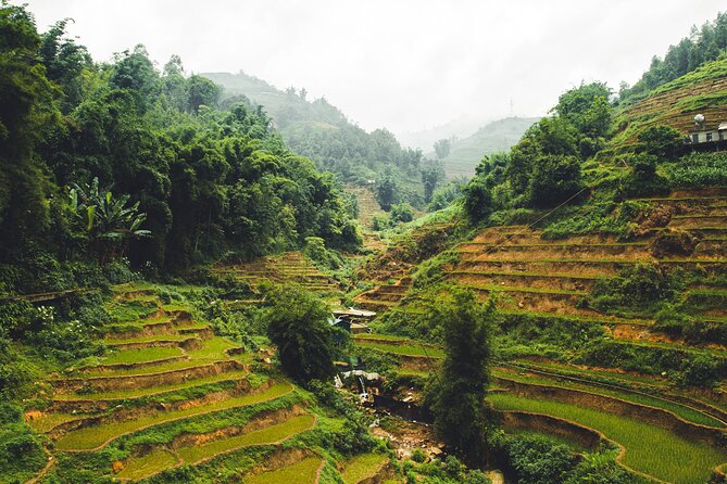 Highland Harmony Trek in Sapa - Stop 1: Muong Hoa Valley and the slow start into the hills