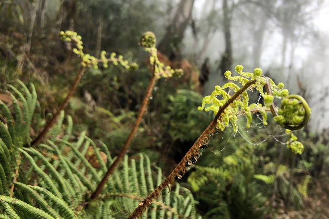 Hiking Fansipan in 1 day - The 6:00 am start: pickup, breakfast timing, and why mornings matter
