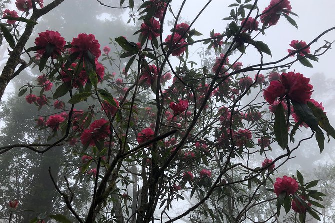 Hiking Fansipan in 1 day - Summit payoff: clear weather, China views, and when to expect the best moments